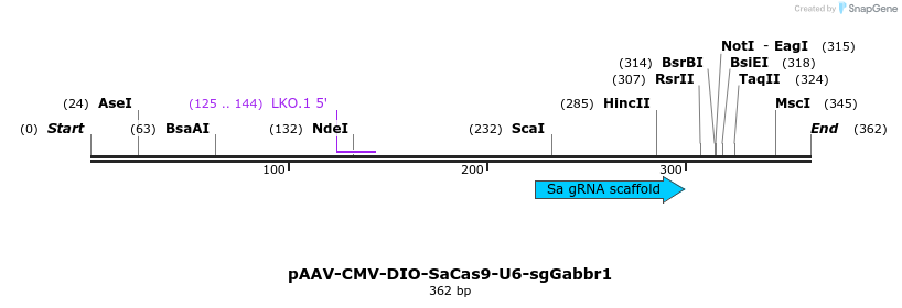 473021_map