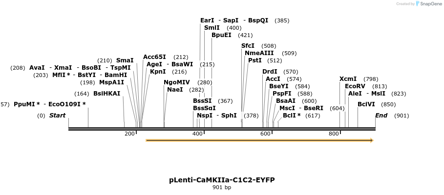 47305_map