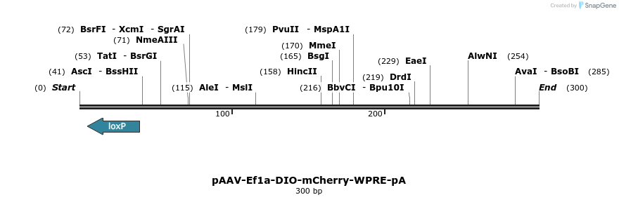 47309_map