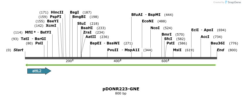 47311_map