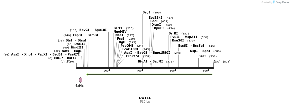 47312_map