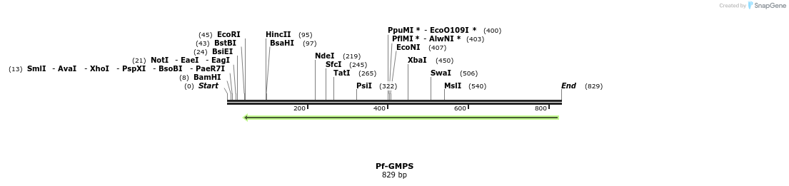 47315_map
