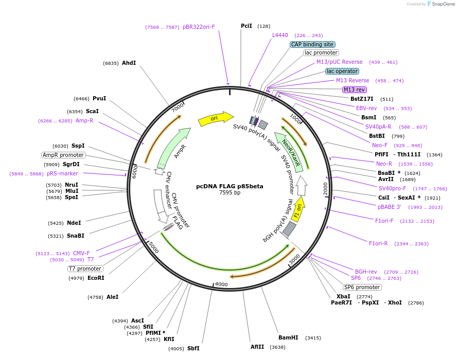 473158_map
