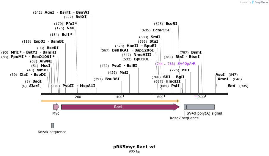 47317_map