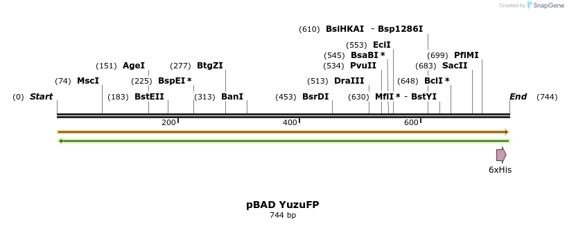 473191_map