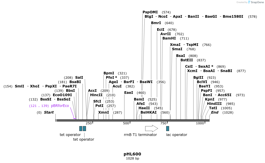 47320_map