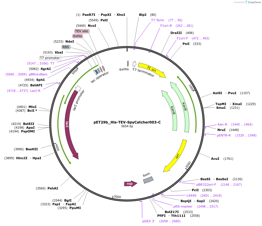 473212_map