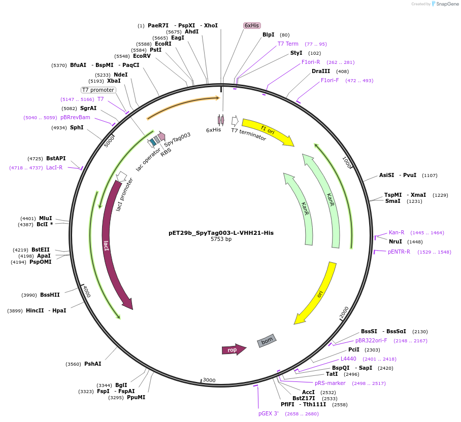 473219_map