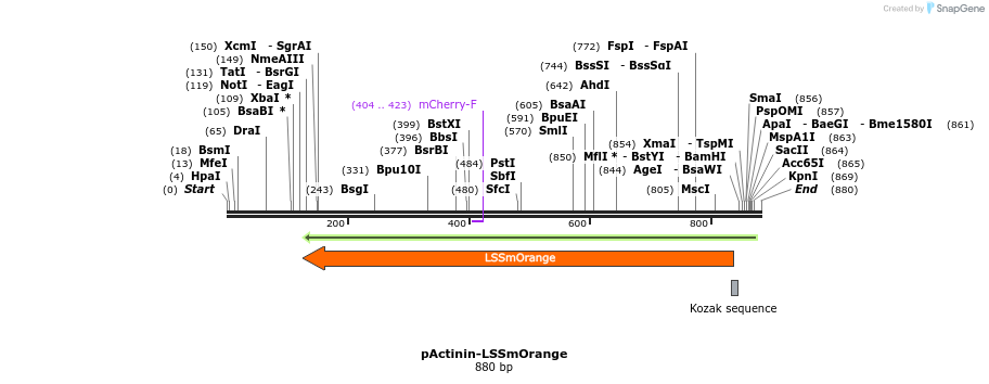 47325_map
