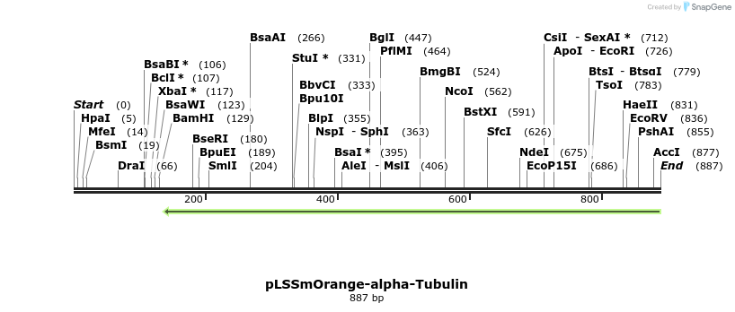 47327_map