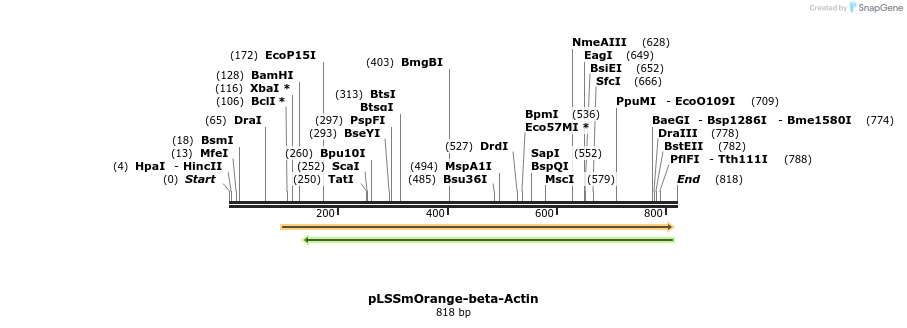 47329_map