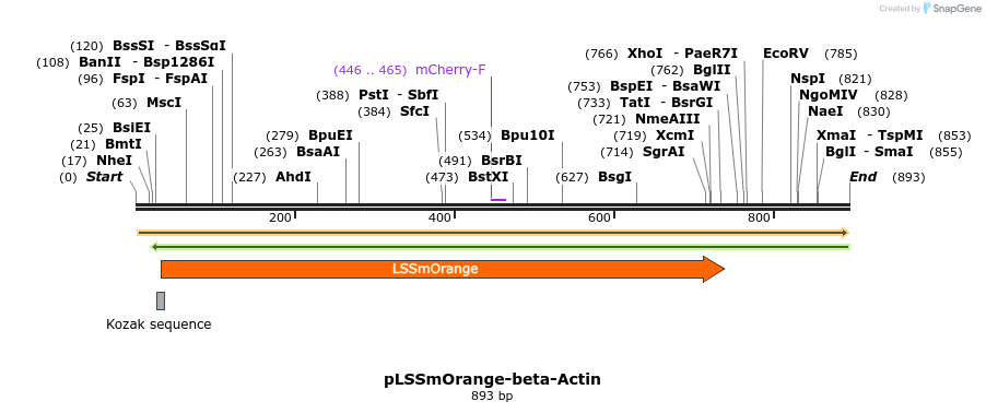 47330_map