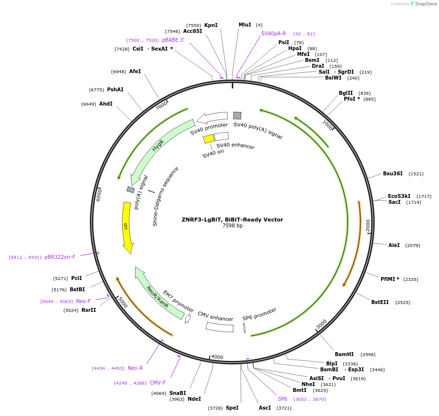 473309_map