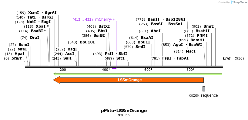 47331_map