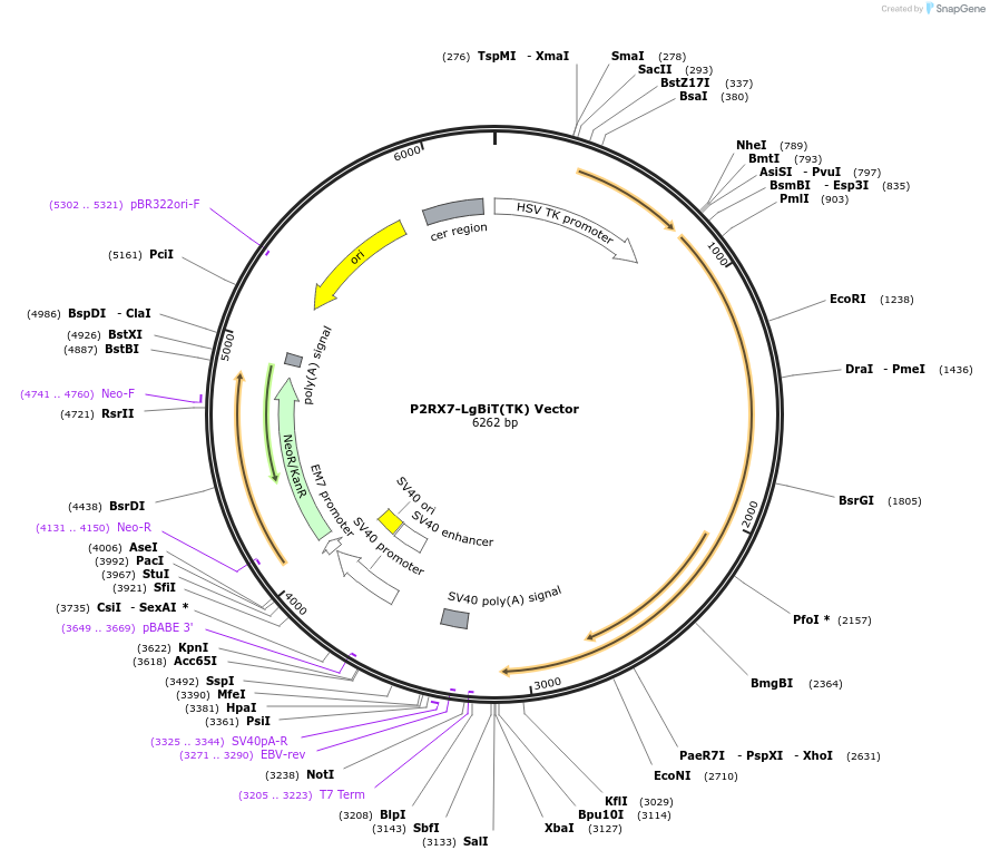 473329_map