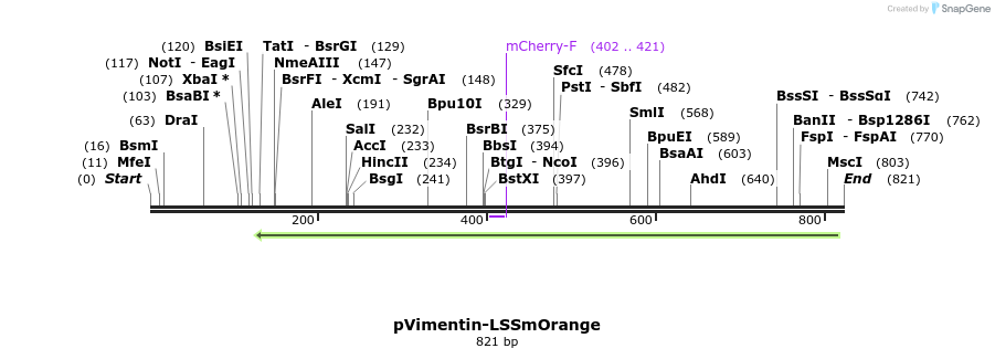 47333_map