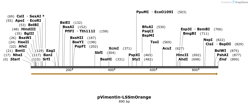 47334_map