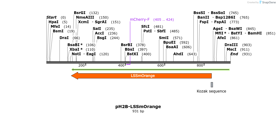 47335_map