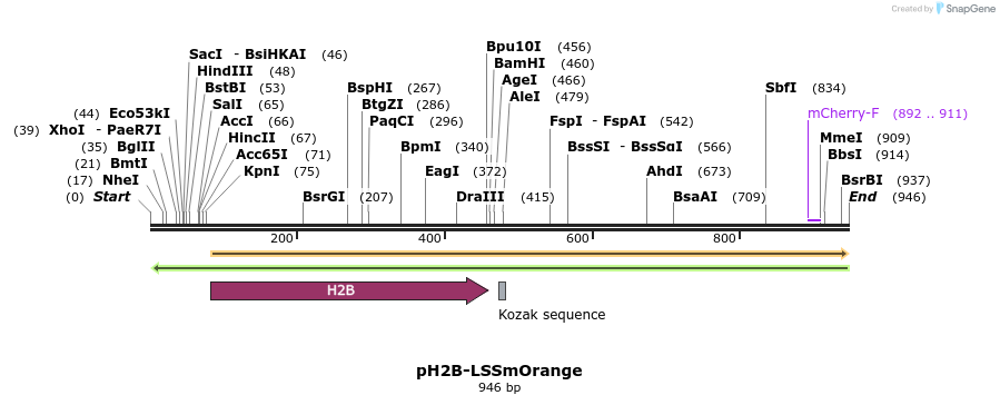 47336_map