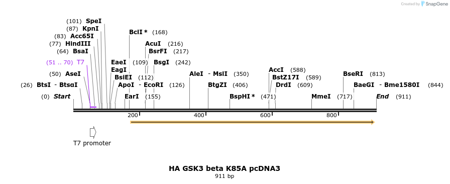 47345_map