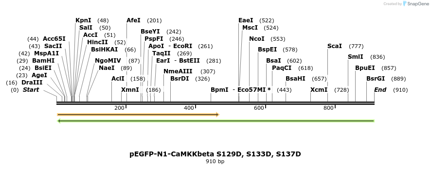 47346_map