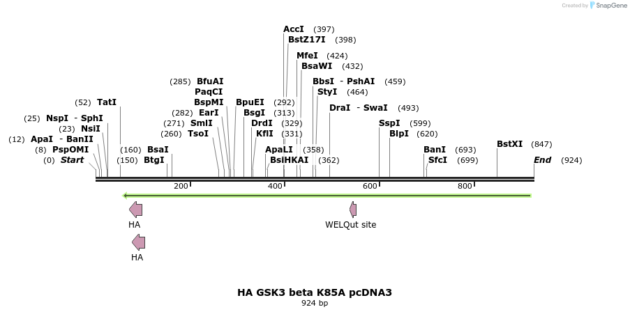 47359_map