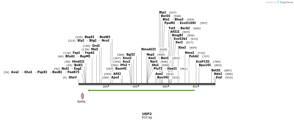 47362_map
