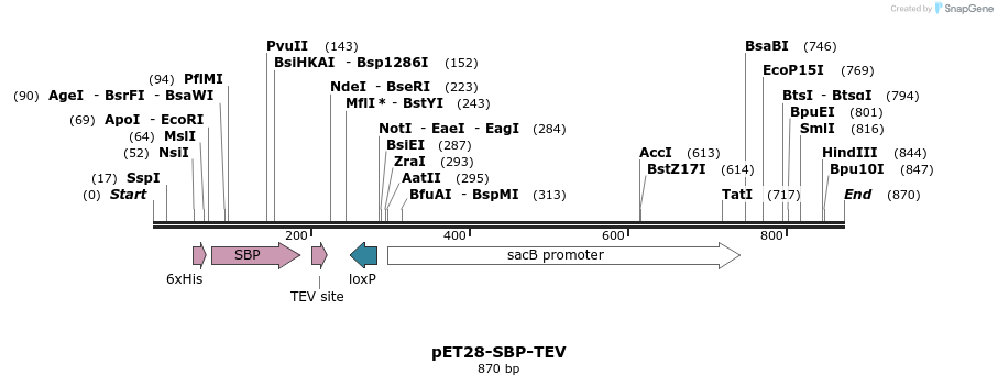 47364_map