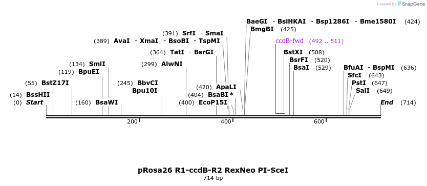 47380_map