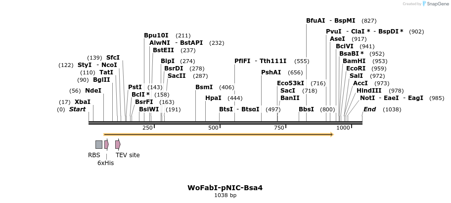 473873_map