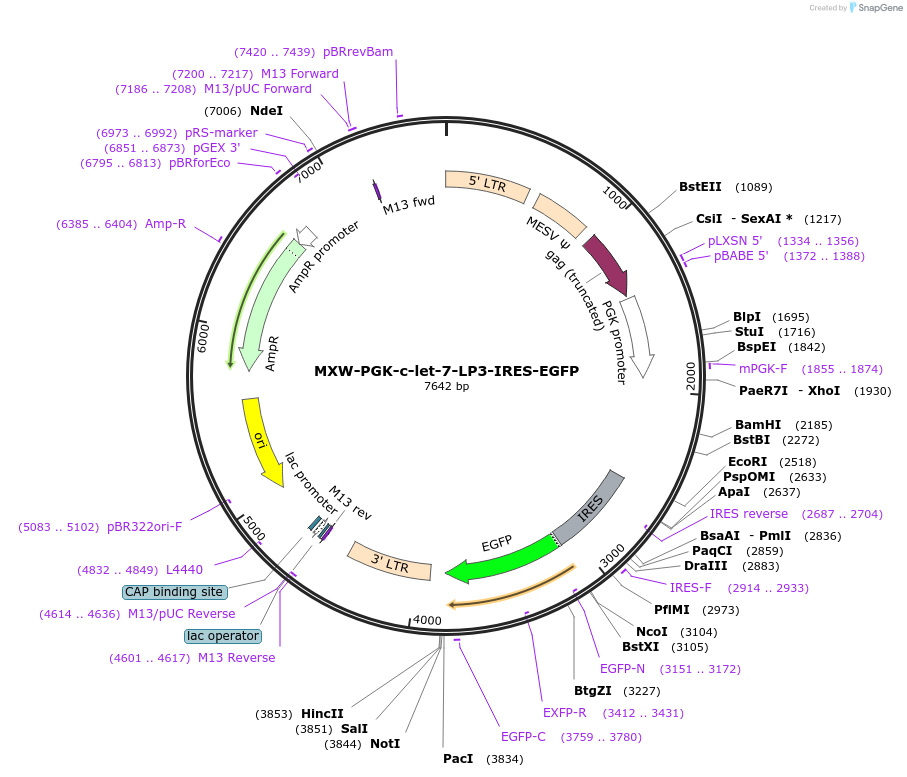 47396_map