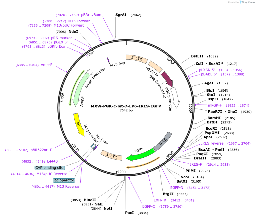 47399_map