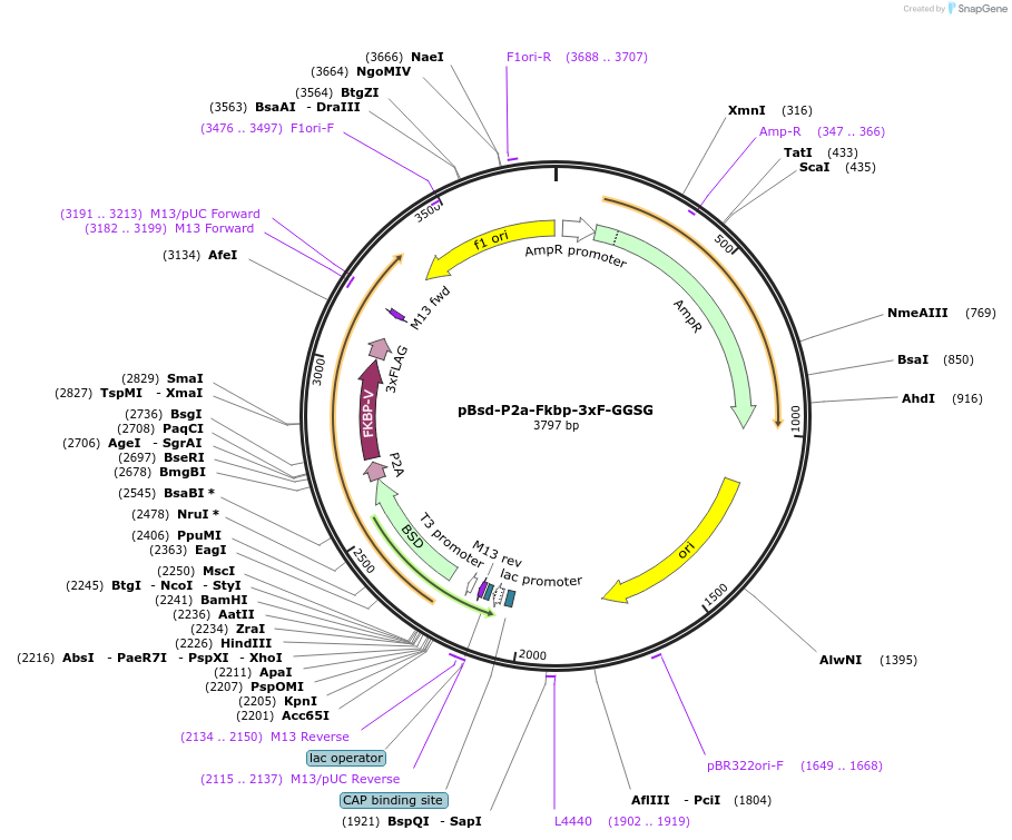 473990_map