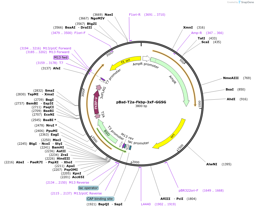 474007_map