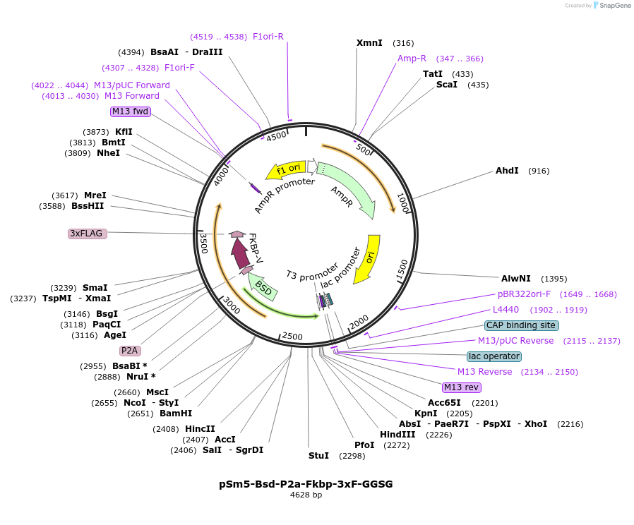474015_map