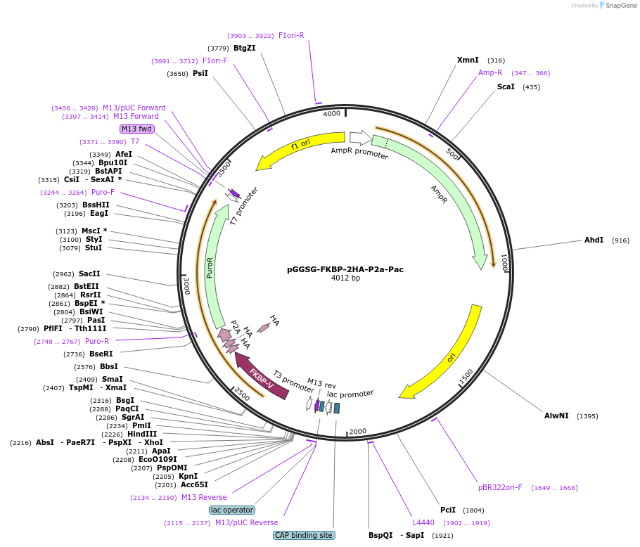 474041_map
