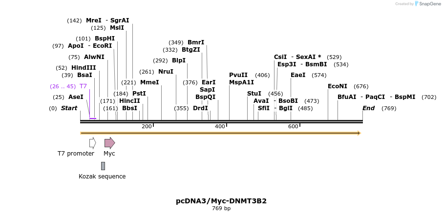 47409_map