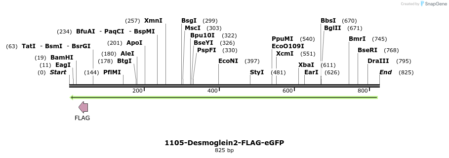 47410_map