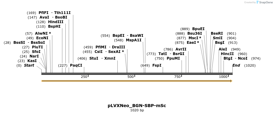 474203_map