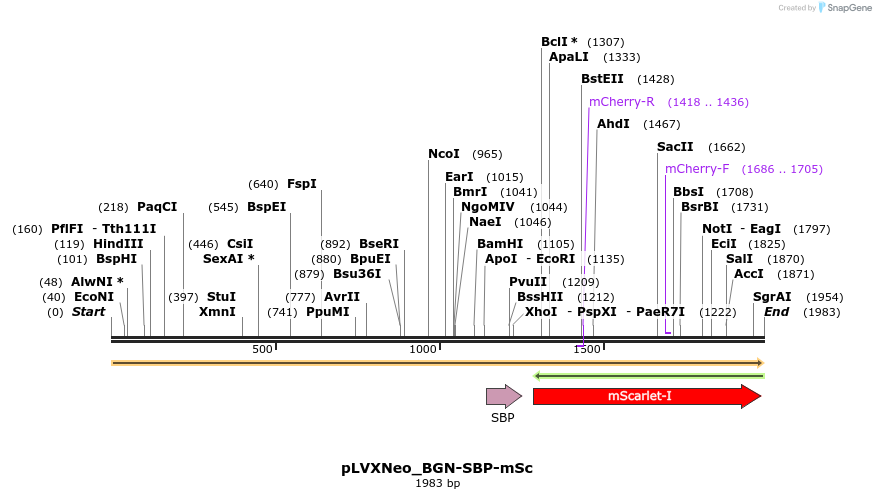 474204_map