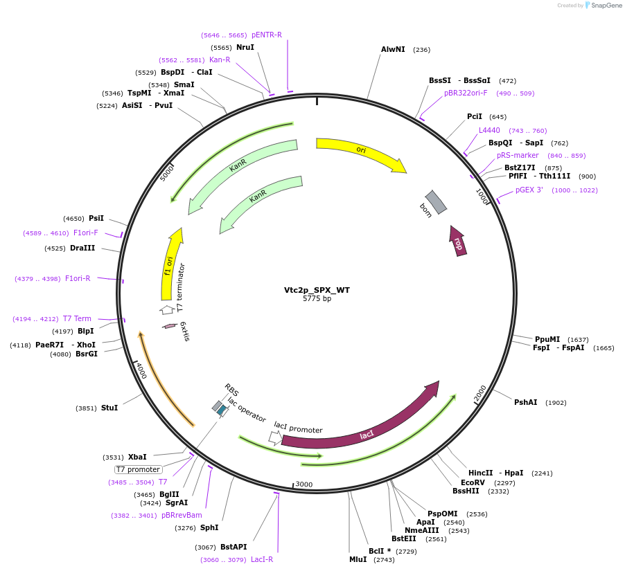 474214_map