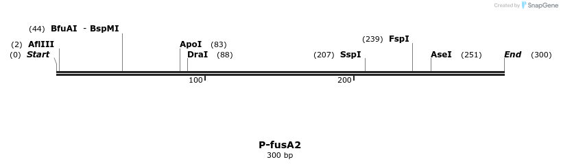474272_map