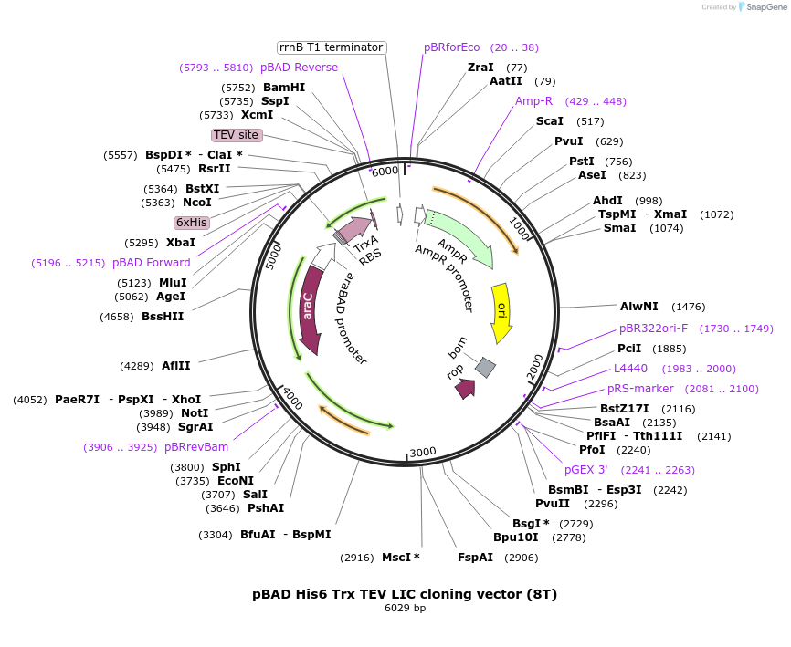 47458_map