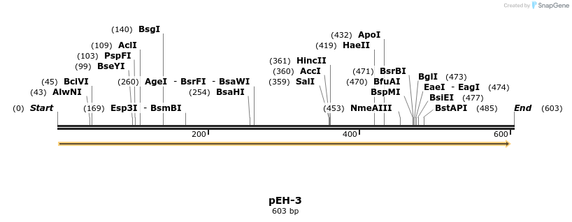 47478_map