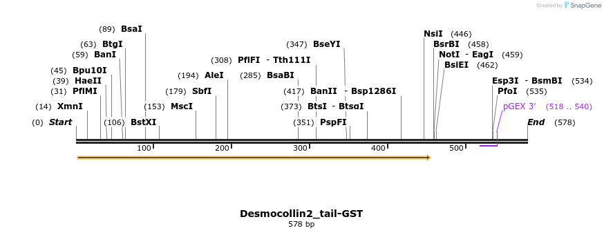 47488_map