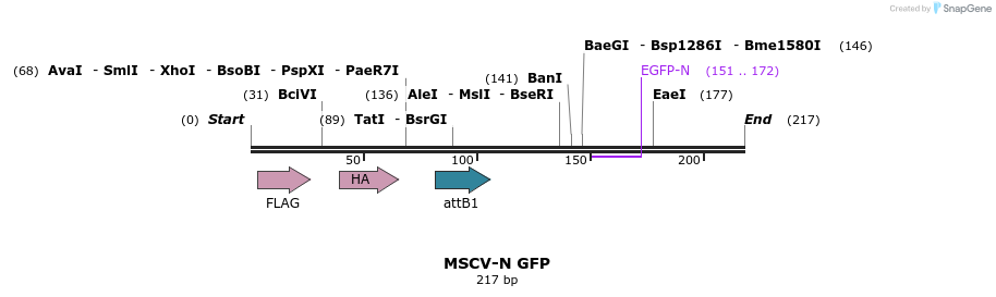 47490_map