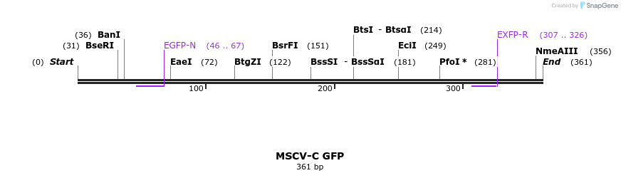 47491_map