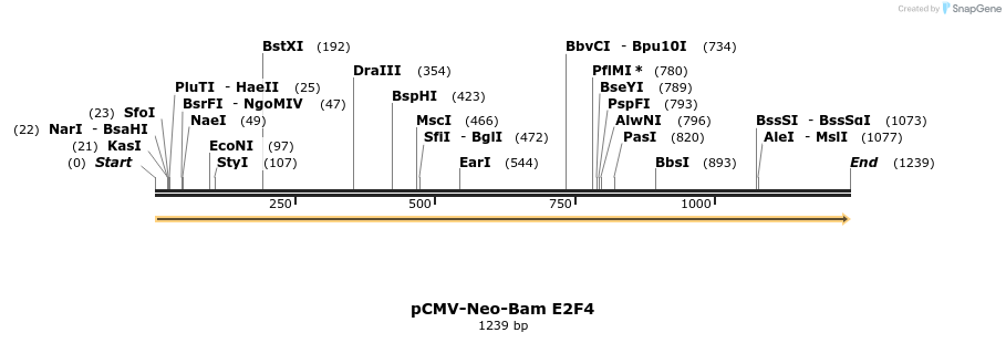 47492_map