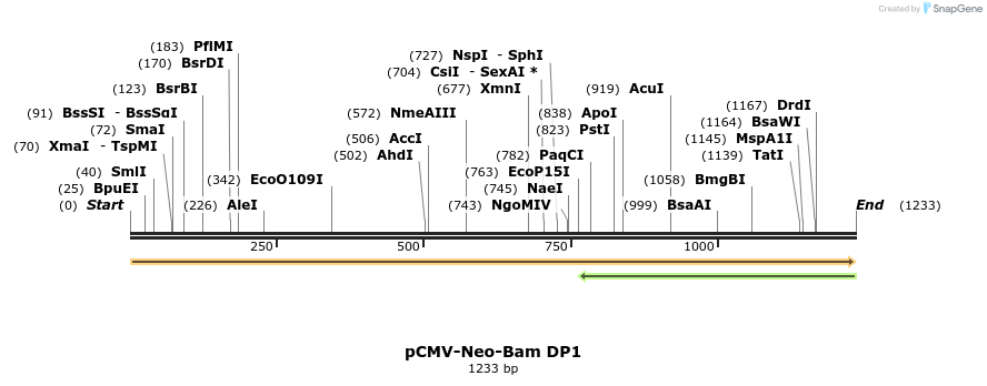 47493_map