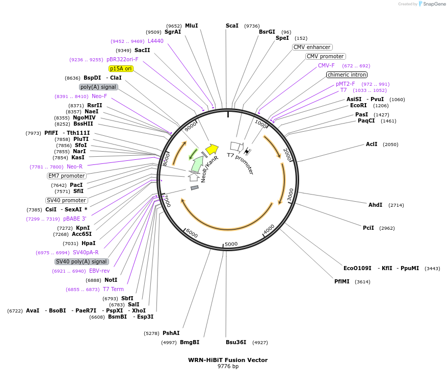 474936_map